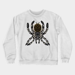 Tarantula Pixel Art 6 Crewneck Sweatshirt